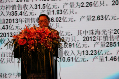 劉彥龍：鋰離子電池應用市場前景廣闊  行業應良性發展