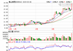 國軒高科借殼東源電器事項上會 佛山照明持股14.8361%