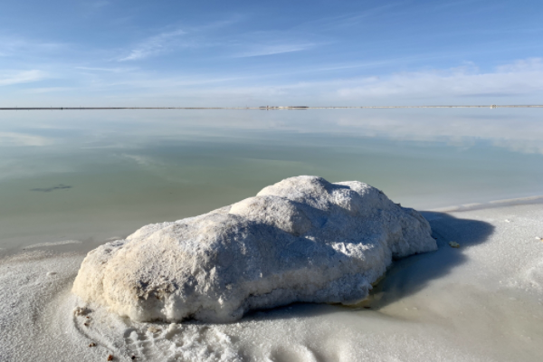 鋰礦如金礦！近10家鋰企凈利呈倍數增長，掌門人集體沖擊富豪榜