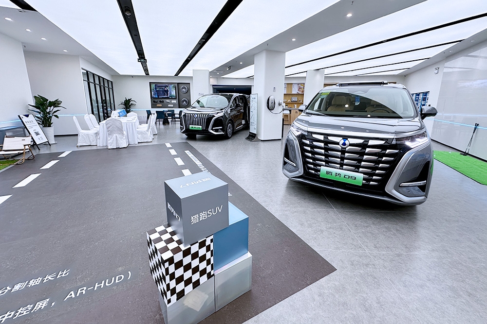 世界新能源車進入分化發展新階段 前10月中國乘用車占比68.9%