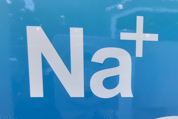 鈉電池和固態電池結合？無陽極固態電池誕生！