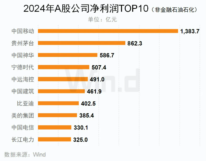 2024年A股歸母凈利潤TOP10（非金融石油石化）公司