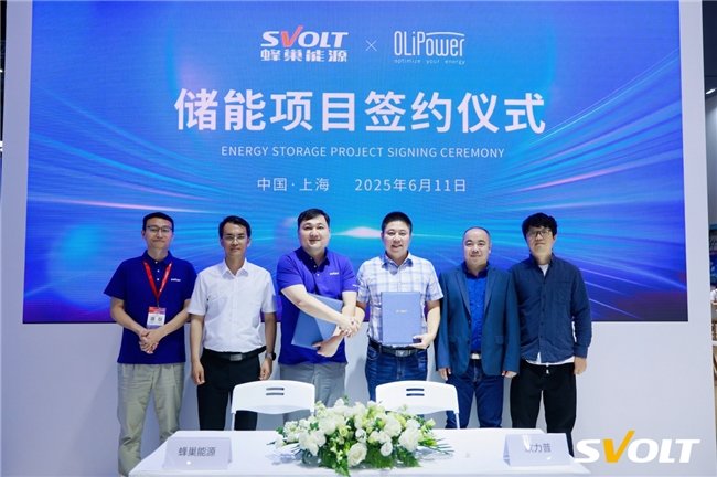 熱復合短刀備受青睞，蜂巢能源SNEC展再度斬獲2.1GWh儲能訂單！