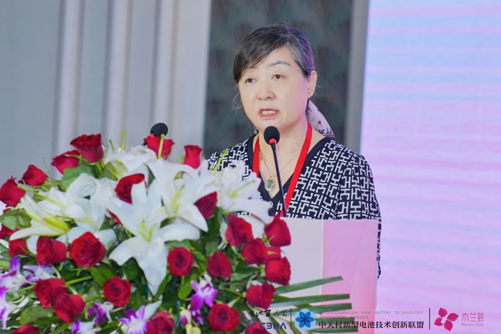 保力新能源科技股份有限公司董事長高保清 保力新能源科技股份有限公司董事長高保清