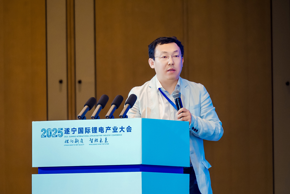 俄羅斯工程院院士、烏克蘭工程院院士、安徽大學大數據學院執行院長 金虎林