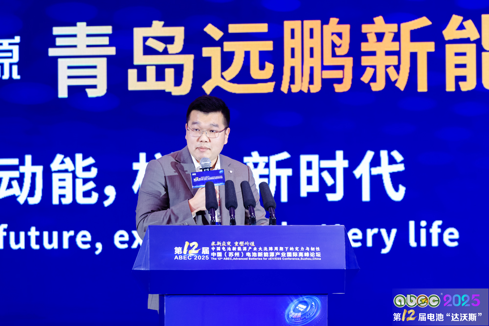 惠州億緯鋰能股份有限公司戰略研究部總監張帆