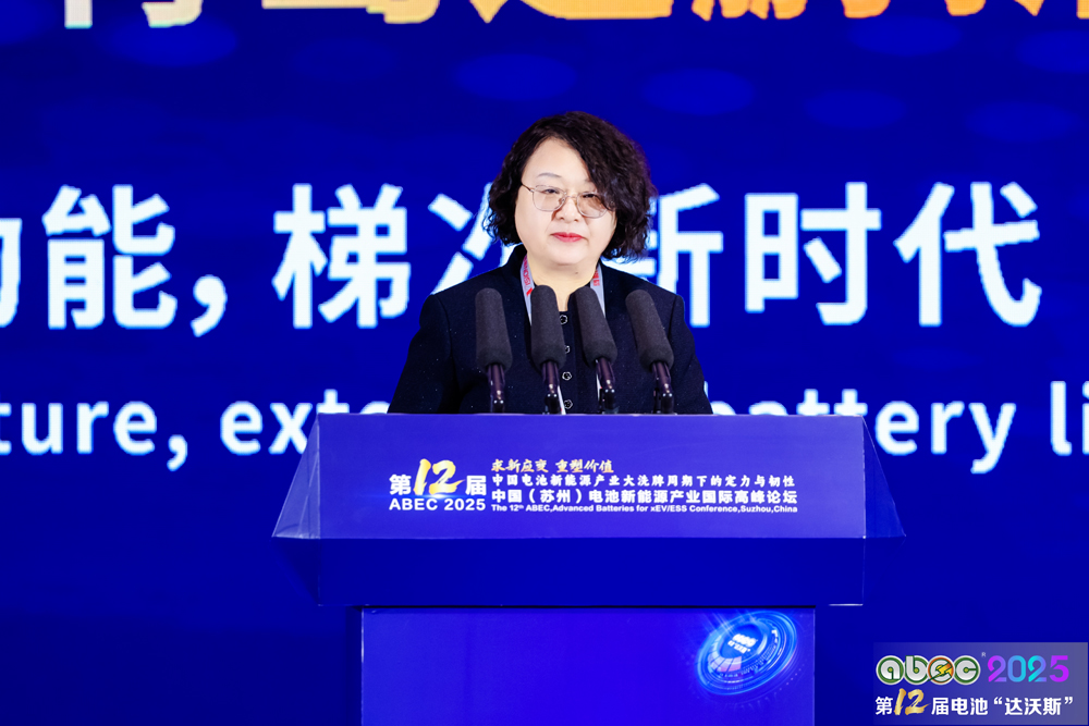 同方鼎欣科技股份有限公司輿情及數據應用負責人翟嘉