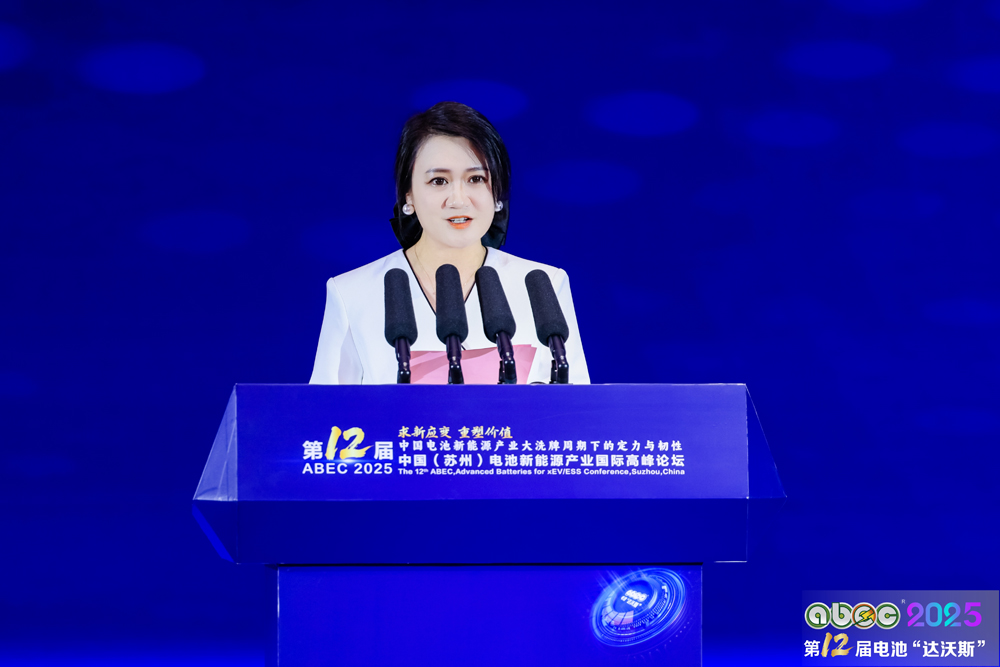 電池“達沃斯”組委會秘書長耿茜茜