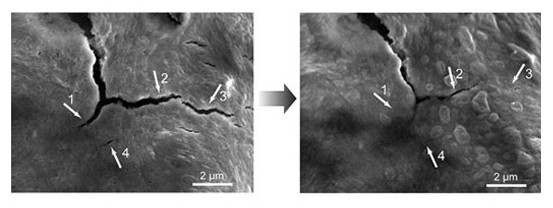 自我修復(fù)電池或?qū)⒂糜陔妱?dòng)汽車 先進(jìn)技術(shù)助力環(huán)保
