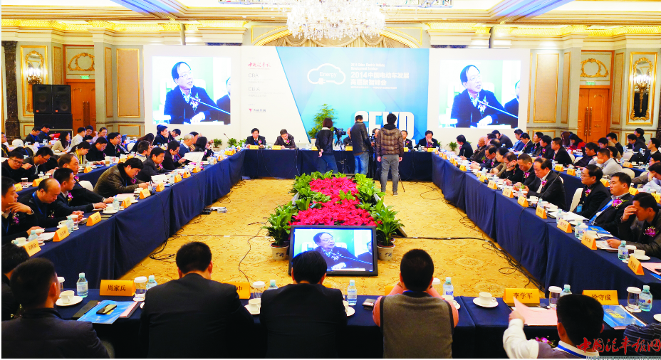 萬仁美：電動汽車發展應讓市場“說了算”