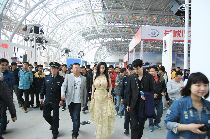 新能源汽車上演“三國殺” 比亞迪迎戰寶馬和特斯拉？