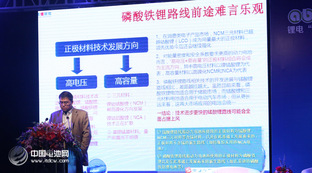 第二屆鋰電“達沃斯”學術委員會秘書長、真鋰研究首席研究員墨柯