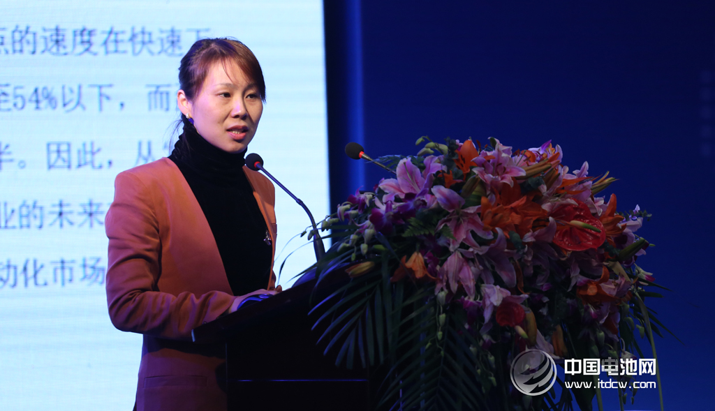 東莞杉杉總經理黃繼宏：電解液價格戰將繼續