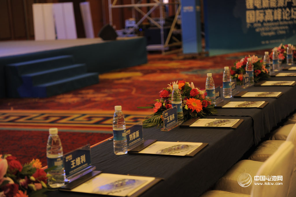 徐晨曦：中國電動車企不應(yīng)該各樹各的樁