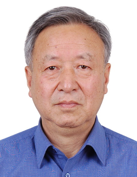 國家863“節能與新能源汽車”重大項目監理咨詢專家組組長王秉剛