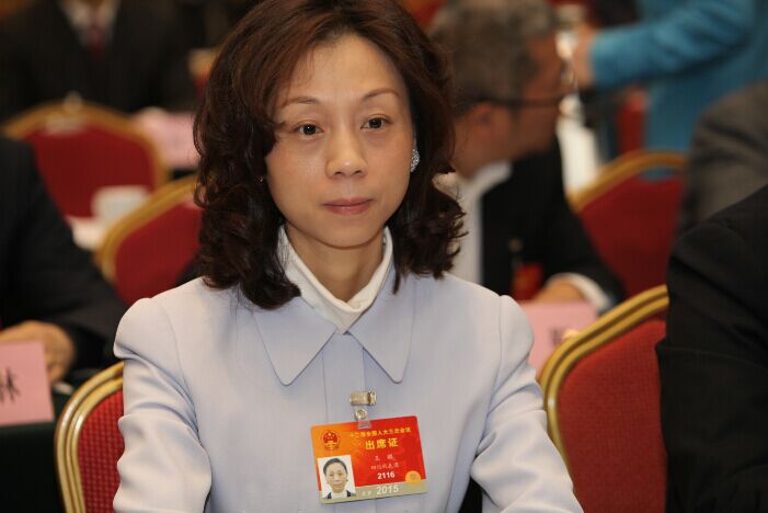 王麒：推行新能源汽車不限牌并減免過路費(fèi)等