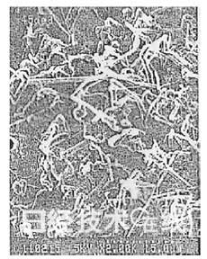 鋰電池開發(fā)史（1）：鋰電池?cái)[脫三重苦即將登場(chǎng)