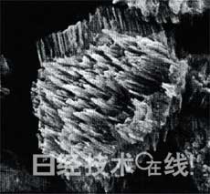 鋰電池開發史（六）兼顧安全性與大容量，看清正極材料的“貓膩”(第1頁) -  7.jpg