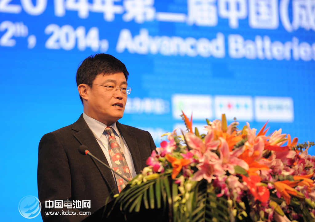 王子冬 中國電池網資料圖片 王子冬 中國電池網資料圖片