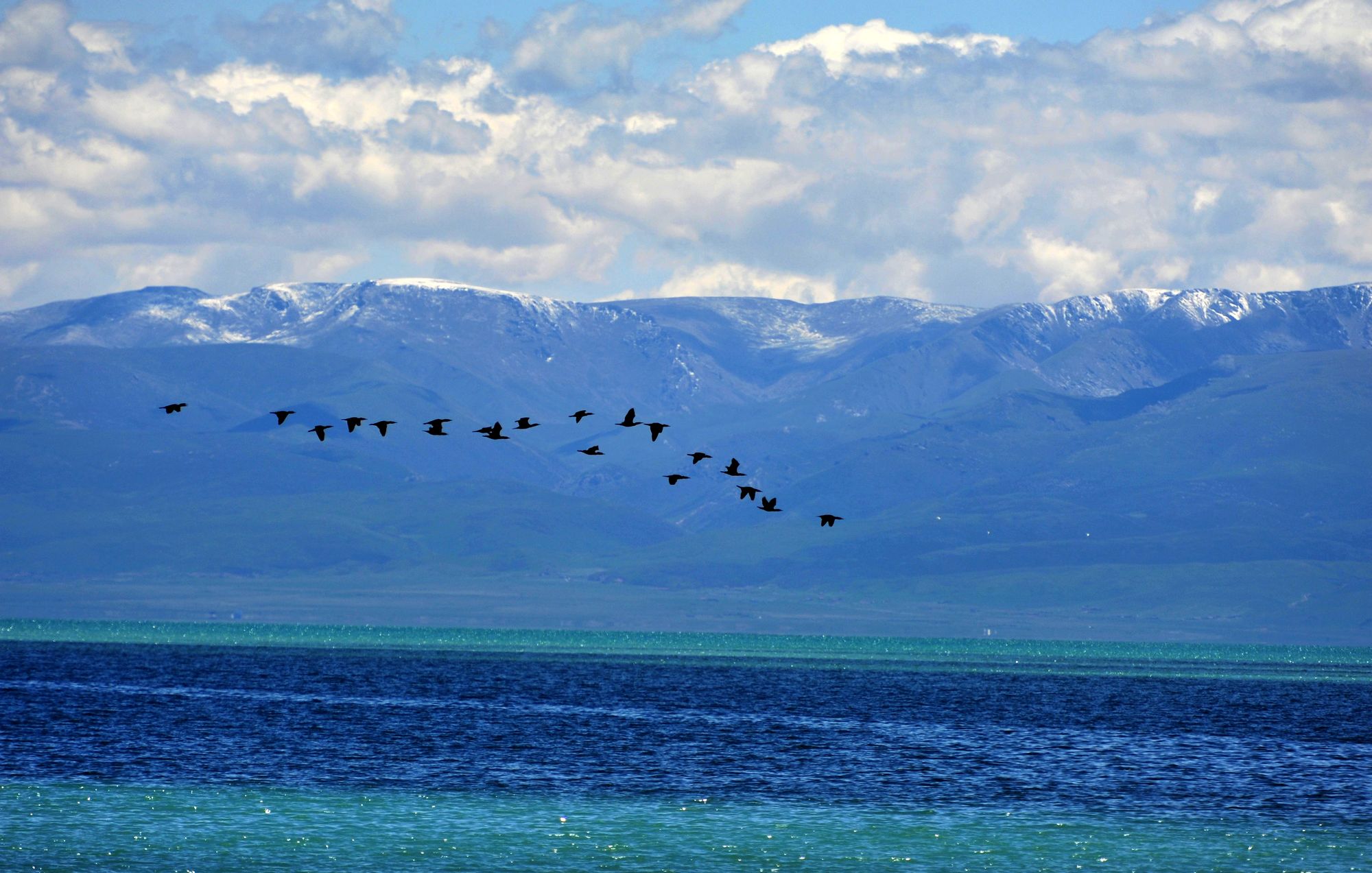 追溯鋰產業成長發展 全國首個鋰產業展覽館落戶青海 追溯鋰產業成長發展 全國首個鋰產業展覽館落戶青海