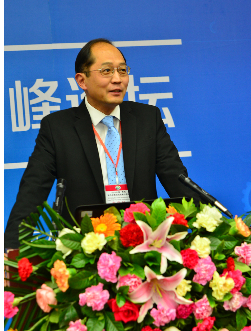 青海泰豐先行鋰能科技有限公司首席技術官 高 原