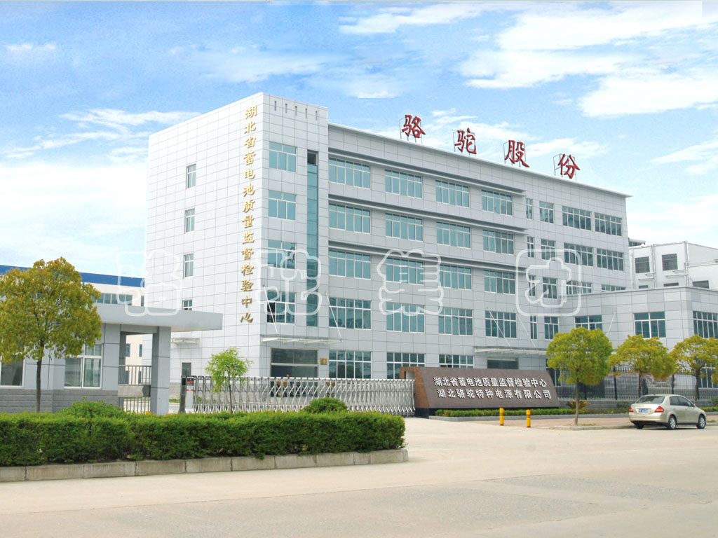 駱駝股份下調(diào)增發(fā)價(jià) 1.98億元收購(gòu)襄陽(yáng)駝龍