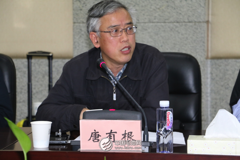 中國儲能與動力電池及其材料專業委員會秘書長、中南大學教授唐有根　　