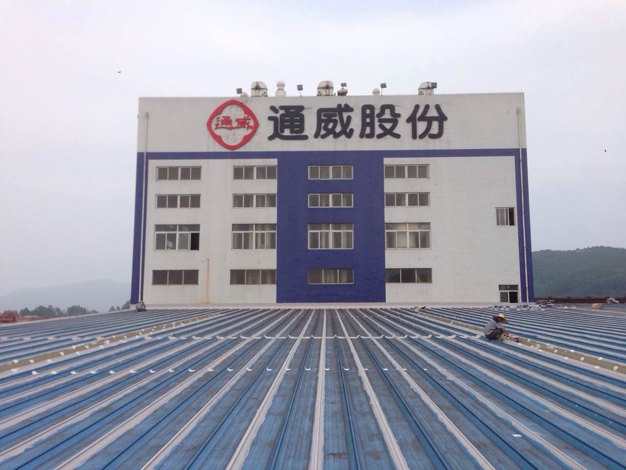 通威股份:再次“重拳”出擊80億重金再投新能源領(lǐng)域 通威股份:再次“重拳”出擊80億重金再投新能源領(lǐng)域