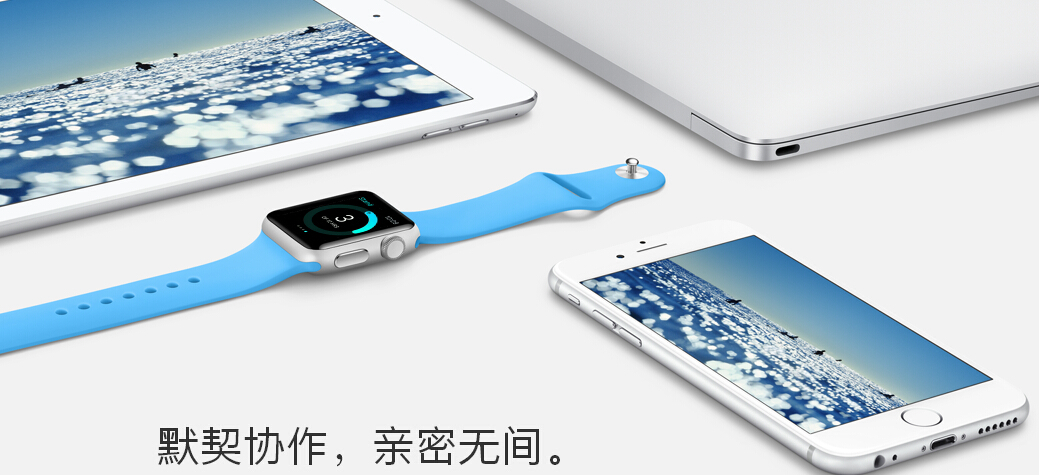 蘋果手機 蘋果手機