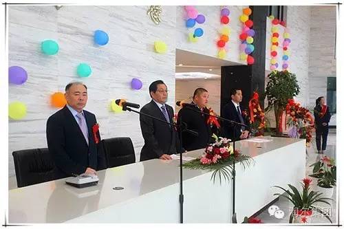 鉛酸電池迎革命 安徽潤爾光電集團(tuán)納米硅鎂固體電池投產(chǎn)