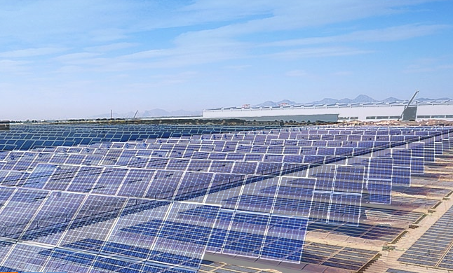 英利集團總經理王剛：光伏企業的出路是“不依賴補貼的自我發展”