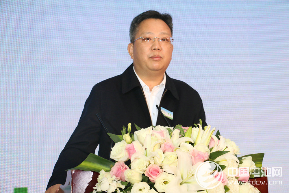 中國沃特瑪新能源汽車產業創新聯盟理事長李瑤