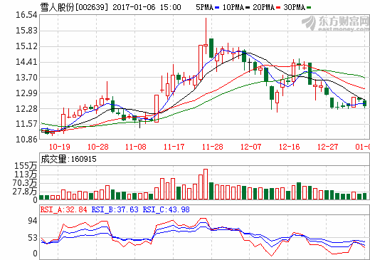 雪人股份股價走勢圖