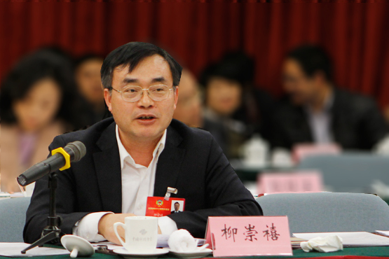 全國(guó)政協(xié)委員、協(xié)鑫（集團(tuán)）控股有限公司副總裁柳崇禧