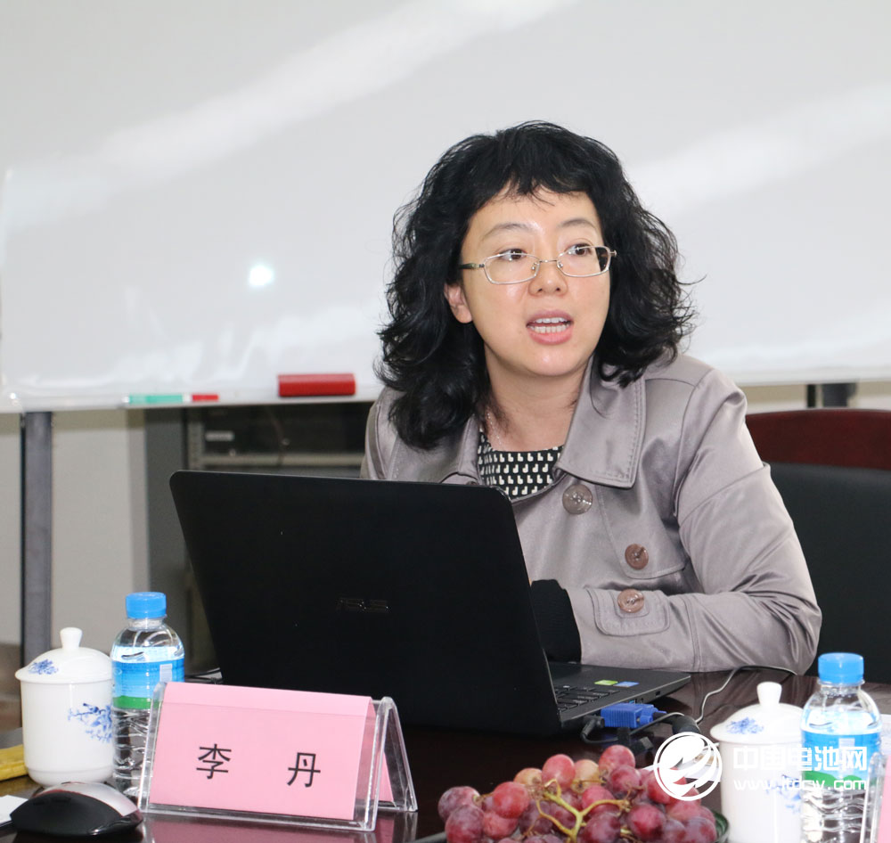 比克電池戰(zhàn)略規(guī)劃中心副總裁李丹