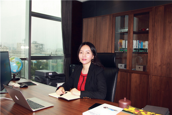 微宏動力高級營銷副總裁何欣