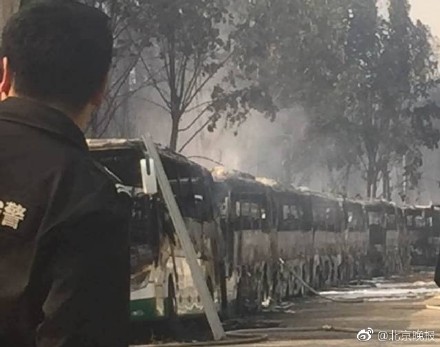 北京蟹島度假村停車場突發大火 