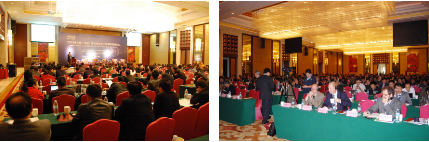 第一屆鋰電“達沃斯”現場（ABEC2013，中國宜春）