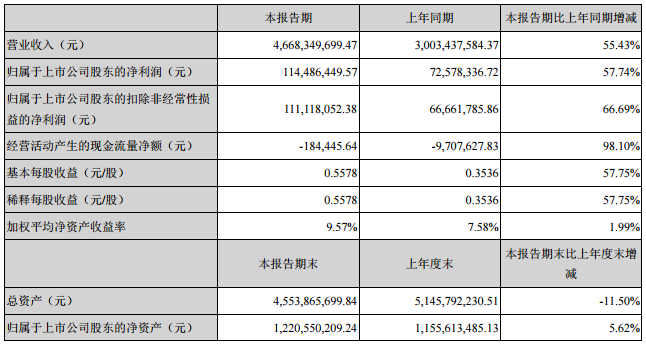 德賽電池主要會計數據和財務指標