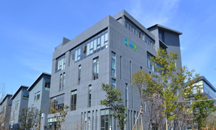 上海璞泰來新能源科技股份有限公司