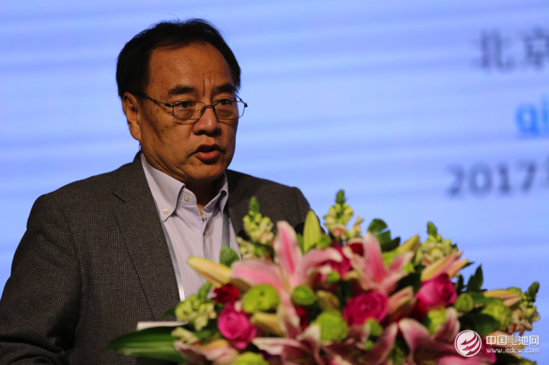 北京大學教授、鋰電“達沃斯”學委會主席其魯