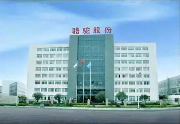 克羅地亞超跑遇上中國電池 將在華建設(shè)生產(chǎn)基地