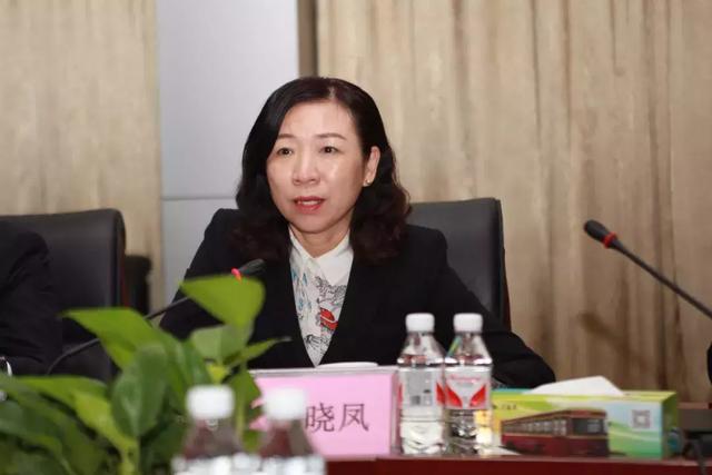 珠海副市長蘆曉鳳