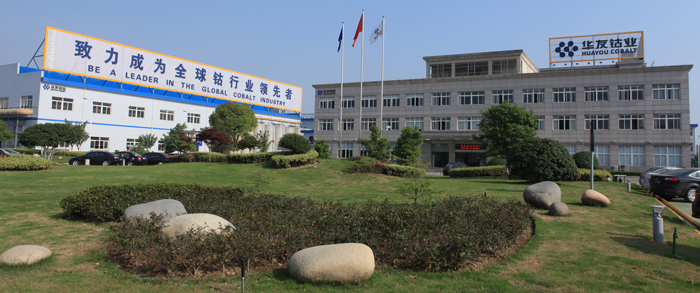 華友鈷業副總談與韓企60億合資：借此進入高端新能源車市場