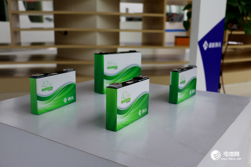 中國鋰電新能源產業鏈調研團一行參觀超威集團