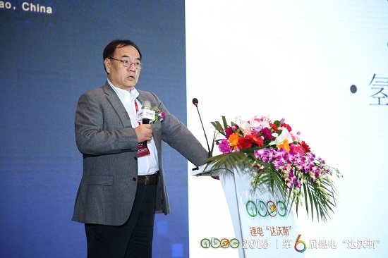 北京大學(xué)教授、鋰電“達(dá)沃斯”學(xué)委會(huì)主席其魯