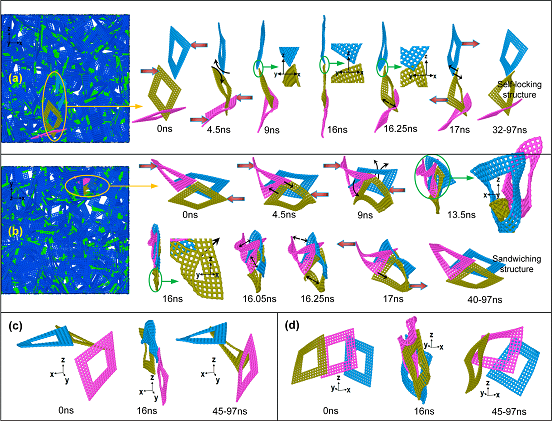 超壓縮與回復過程中，局部微結構動力學演化細節及其蘊含的介觀機械互鎖現象