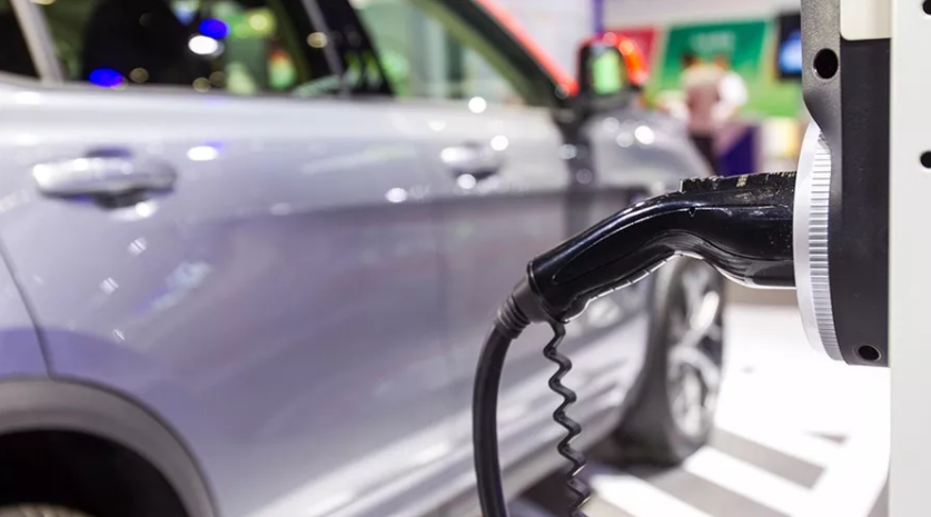 新能源車(chē)擔(dān)綱增長(zhǎng)重任 1月比亞迪純電動(dòng)車(chē)銷(xiāo)16219輛