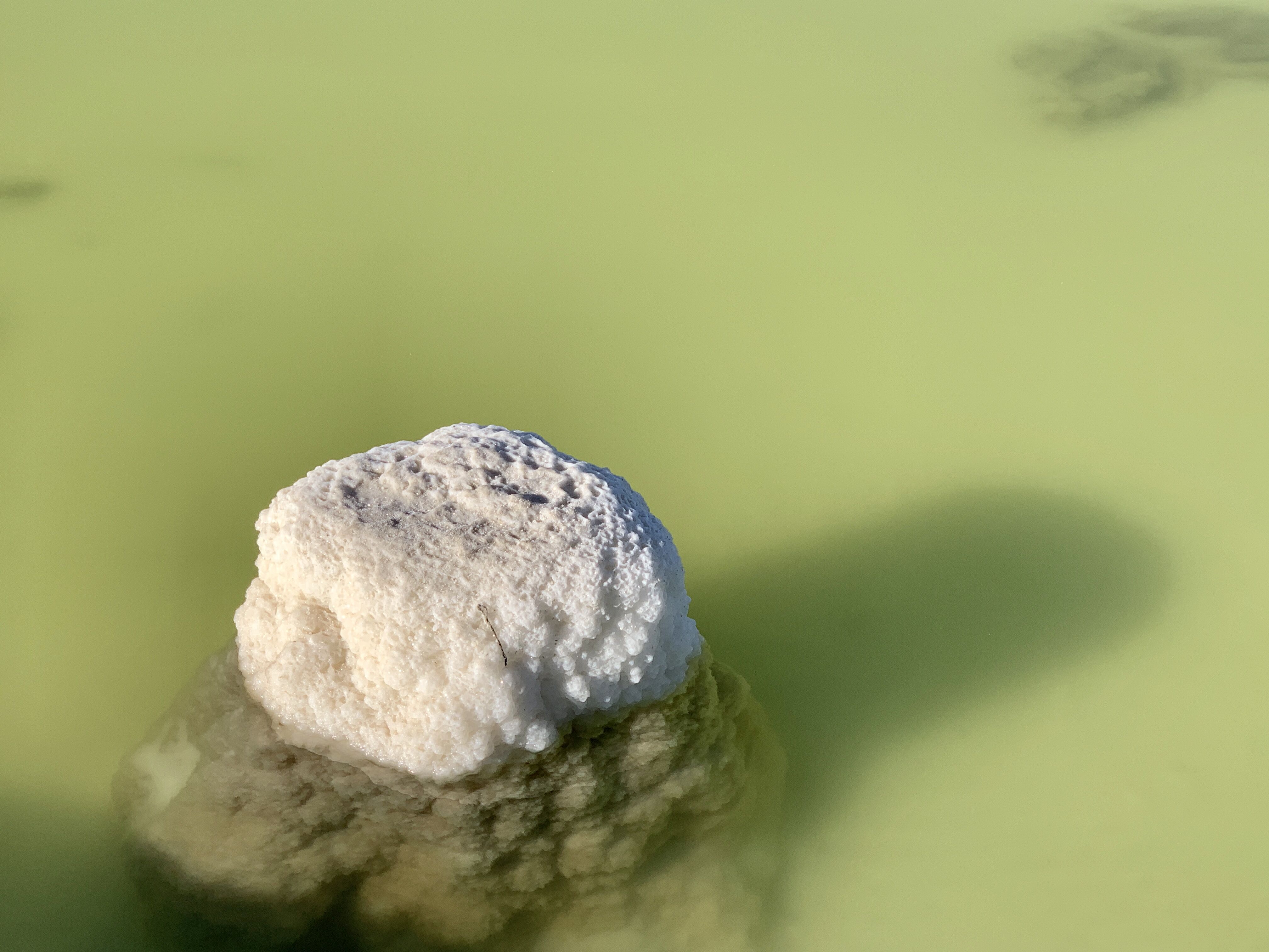 2018年我國鋰產(chǎn)品出口4.23萬噸 氫氧化鋰凈出口量2.6萬噸