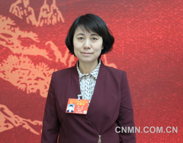 楊艷：進一步加大對鎳鈷資源綜合利用的支持力度